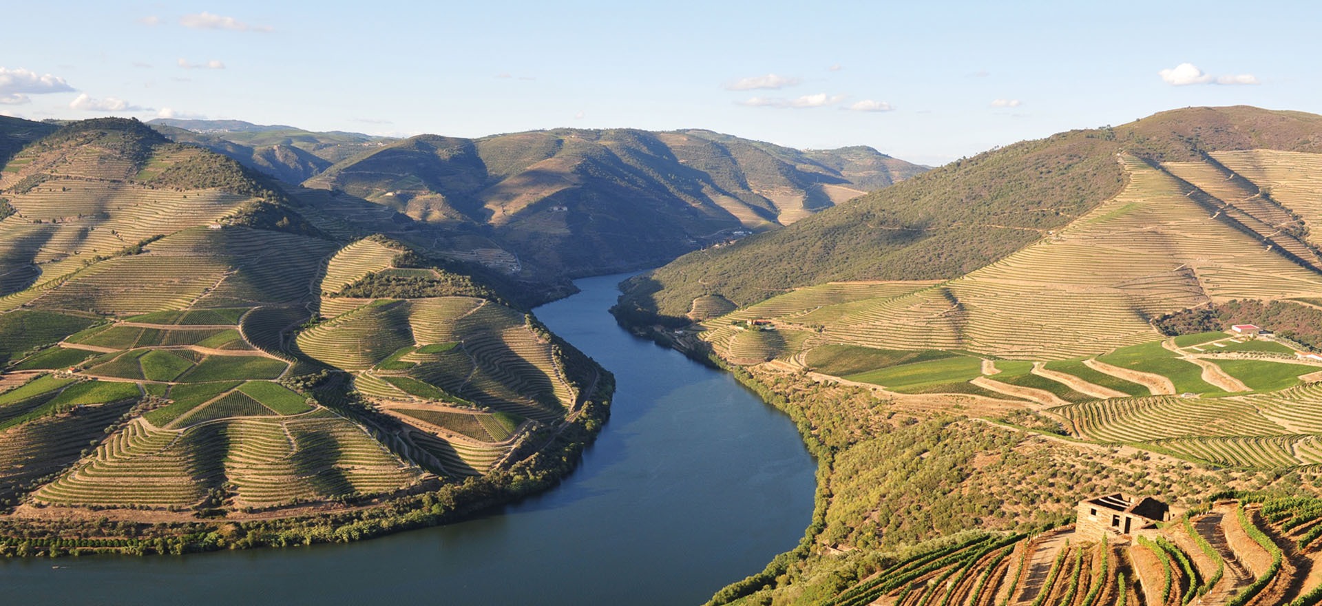 duoro river cruise